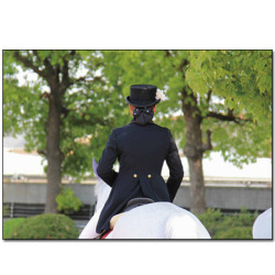 2015 園田競馬 誘導馬カレンダーえほん「誘導馬のお仕事」